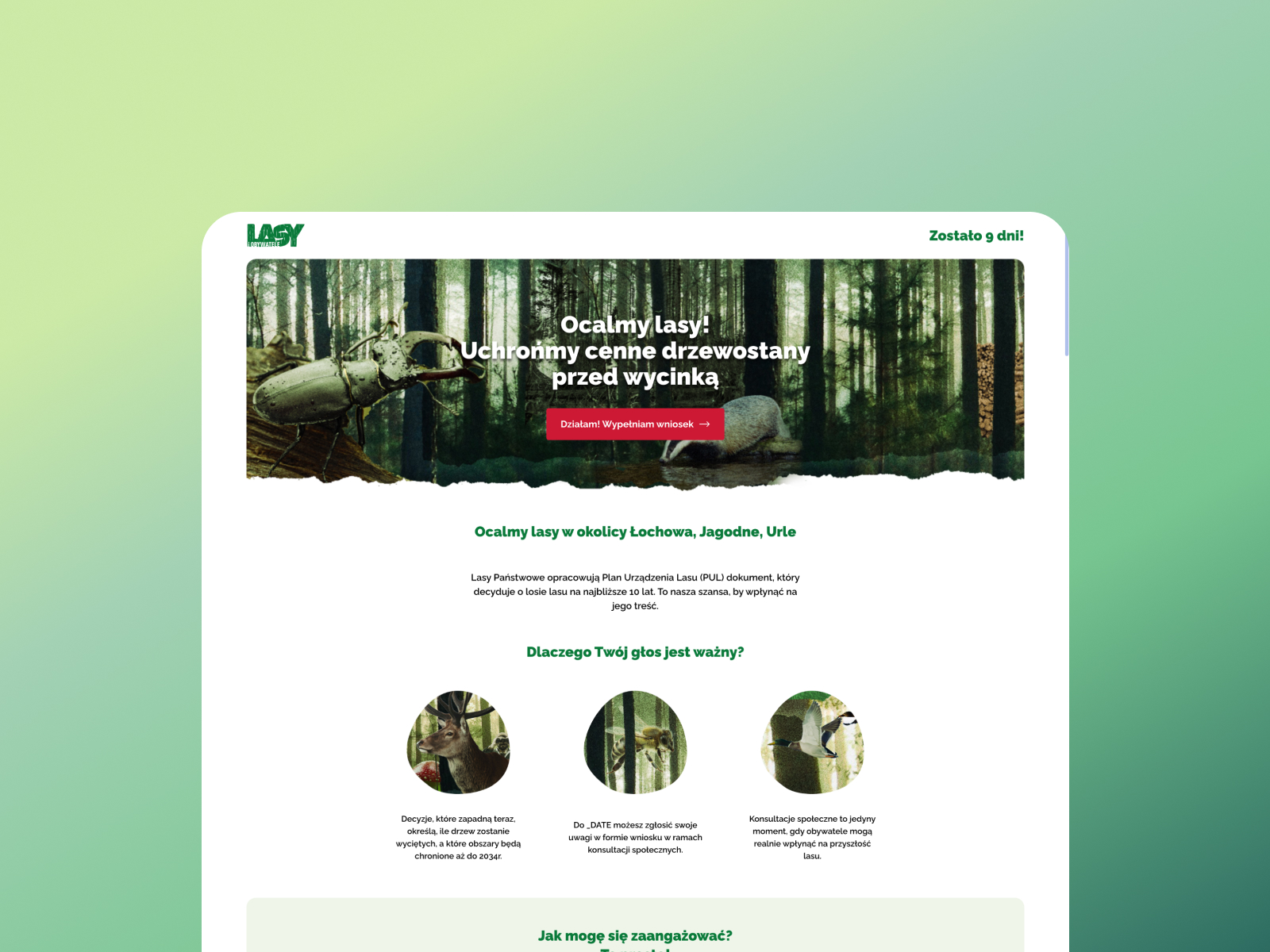 Lasy i Obywatele - UX improvement